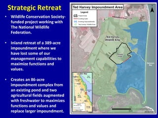 Strategic Retreat
• Wildlife Conservation Society-
funded project working with
The National Wildlife
Federation.
• Inland retreat of a 389-acre
impoundment where we
have lost some of our
management capabilities to
maximize functions and
values.
• Creates an 86-acre
impoundment complex from
an existing pond and two
agricultural fields augmented
with freshwater to maximizes
functions and values and
replace larger impoundment.
 