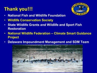 • National Fish and Wildlife Foundation
• Wildlife Conservation Society
• State Wildlife Grants and Wildlife and Sport Fish
Restoration
• National Wildlife Federation – Climate Smart Guidance
Project
• Delaware Impoundment Management and SDM Team
Thank you!!!
 
