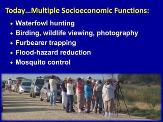  Waterfowl hunting
 Birding, wildlife viewing, photography
 Furbearer trapping
 Flood-hazard reduction
 Mosquito control
Today…Multiple Socioeconomic Functions:
 