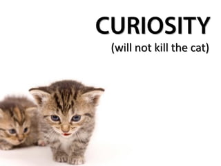 (will not kill the cat)