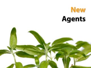 Host Agencies: The New Frontier for Retail Travel Agencies