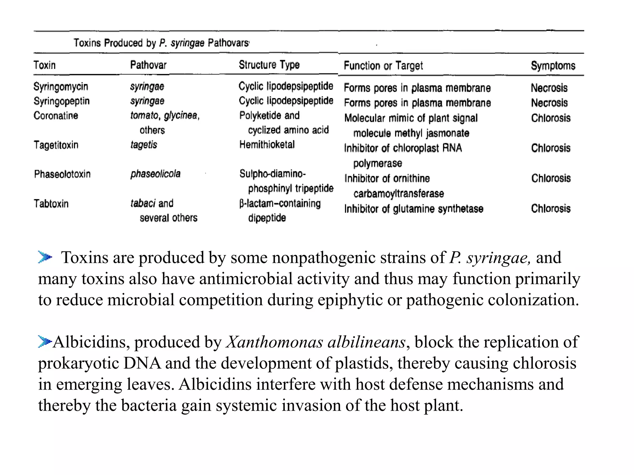 Toxins are produced by some nonpathogenic strains of P. syringae, and
many toxins also have antimicrobial activity and thus may function primarily
to reduce microbial competition during epiphytic or pathogenic colonization.
Albicidins, produced by Xanthomonas albilineans, block the replication of
prokaryotic DNA and the development of plastids, thereby causing chlorosis
in emerging leaves. Albicidins interfere with host defense mechanisms and
thereby the bacteria gain systemic invasion of the host plant.
 