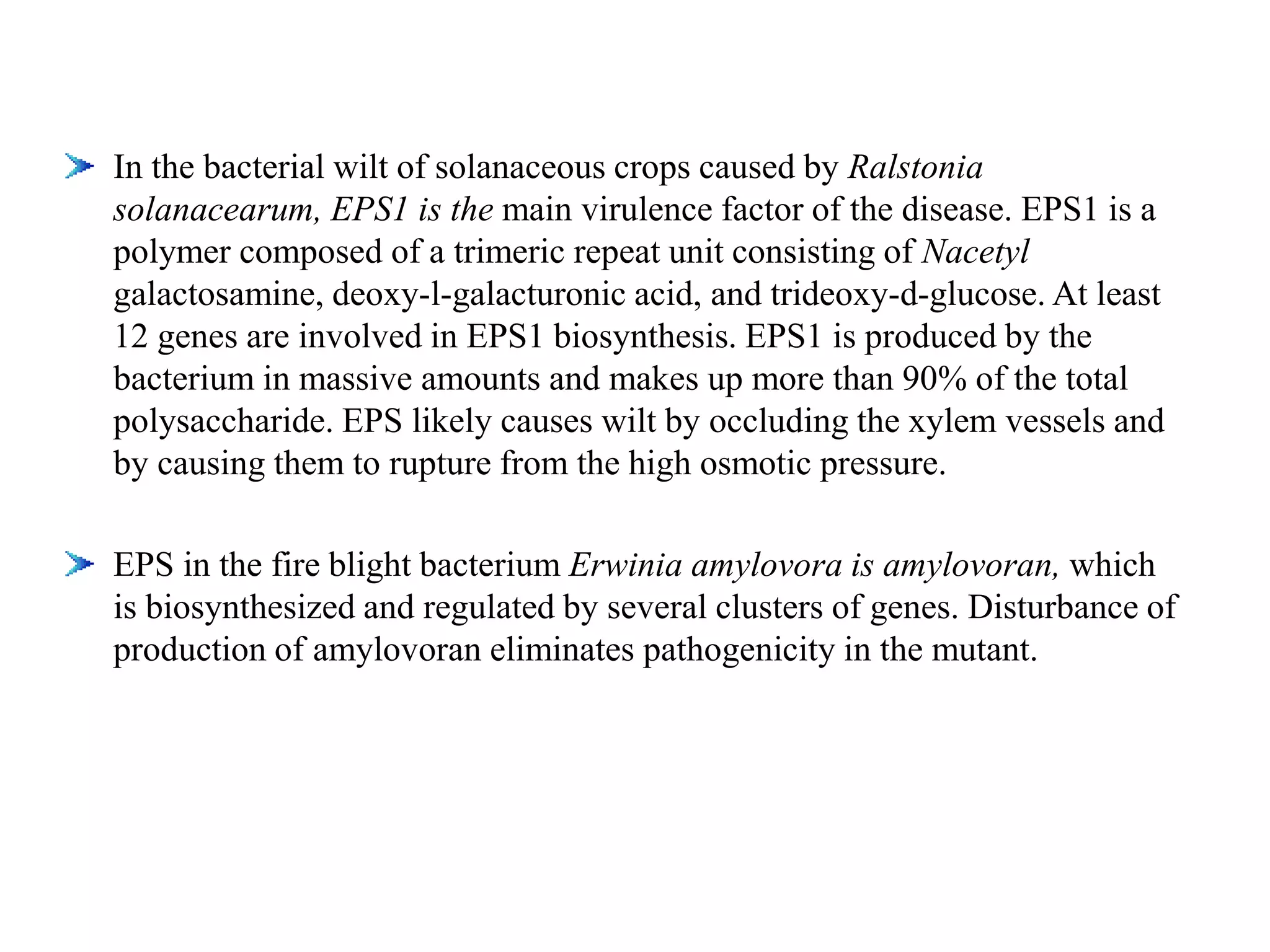 In the bacterial wilt of solanaceous crops caused by Ralstonia
solanacearum, EPS1 is the main virulence factor of the disease. EPS1 is a
polymer composed of a trimeric repeat unit consisting of Nacetyl
galactosamine, deoxy-l-galacturonic acid, and trideoxy-d-glucose. At least
12 genes are involved in EPS1 biosynthesis. EPS1 is produced by the
bacterium in massive amounts and makes up more than 90% of the total
polysaccharide. EPS likely causes wilt by occluding the xylem vessels and
by causing them to rupture from the high osmotic pressure.
EPS in the fire blight bacterium Erwinia amylovora is amylovoran, which
is biosynthesized and regulated by several clusters of genes. Disturbance of
production of amylovoran eliminates pathogenicity in the mutant.
 