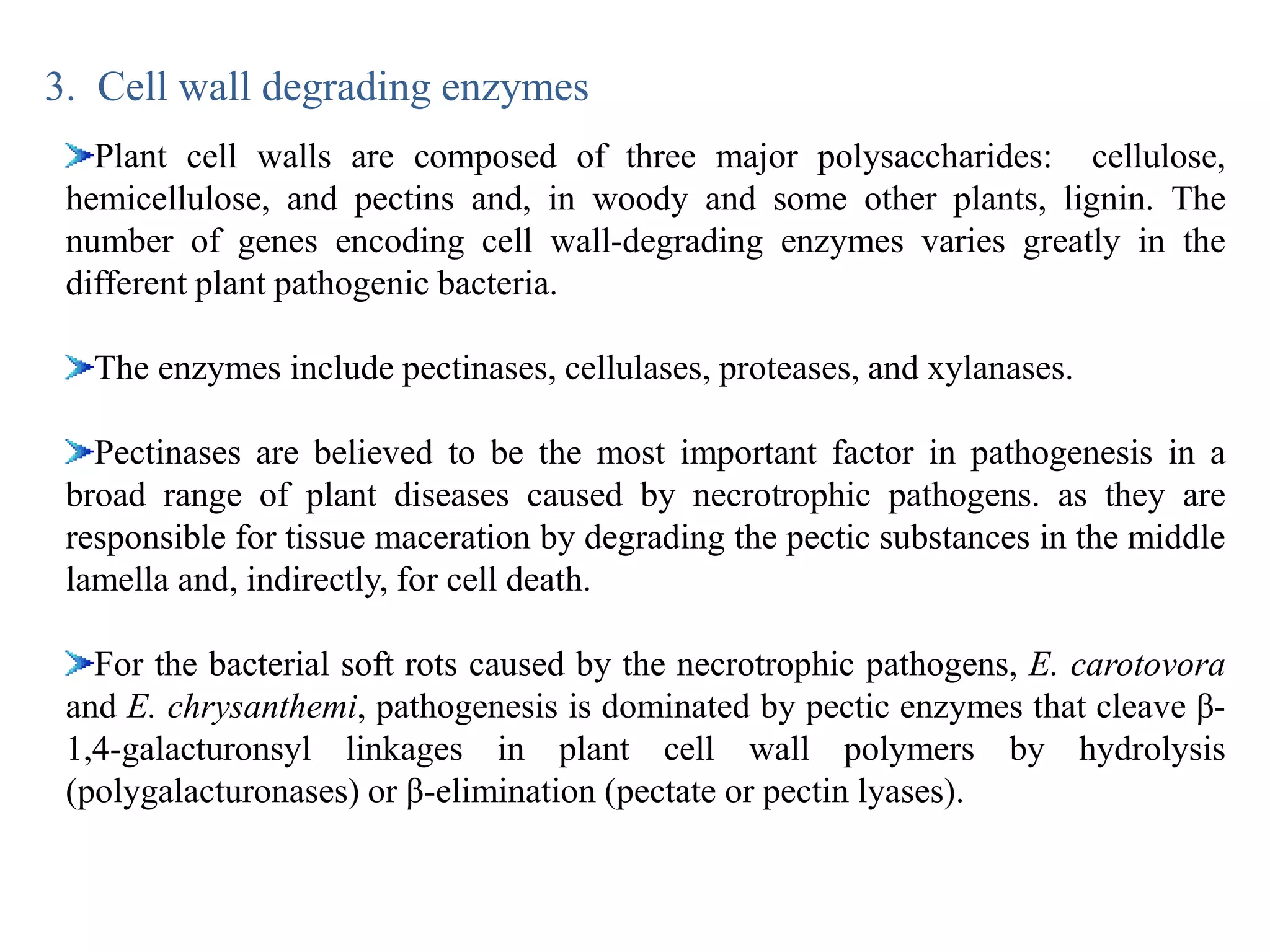 3. Cell wall degrading enzymes
Plant cell walls are composed of three major polysaccharides: cellulose,
hemicellulose, and pectins and, in woody and some other plants, lignin. The
number of genes encoding cell wall-degrading enzymes varies greatly in the
different plant pathogenic bacteria.
The enzymes include pectinases, cellulases, proteases, and xylanases.
Pectinases are believed to be the most important factor in pathogenesis in a
broad range of plant diseases caused by necrotrophic pathogens. as they are
responsible for tissue maceration by degrading the pectic substances in the middle
lamella and, indirectly, for cell death.
For the bacterial soft rots caused by the necrotrophic pathogens, E. carotovora
and E. chrysanthemi, pathogenesis is dominated by pectic enzymes that cleave β-
1,4-galacturonsyl linkages in plant cell wall polymers by hydrolysis
(polygalacturonases) or β-elimination (pectate or pectin lyases).
 