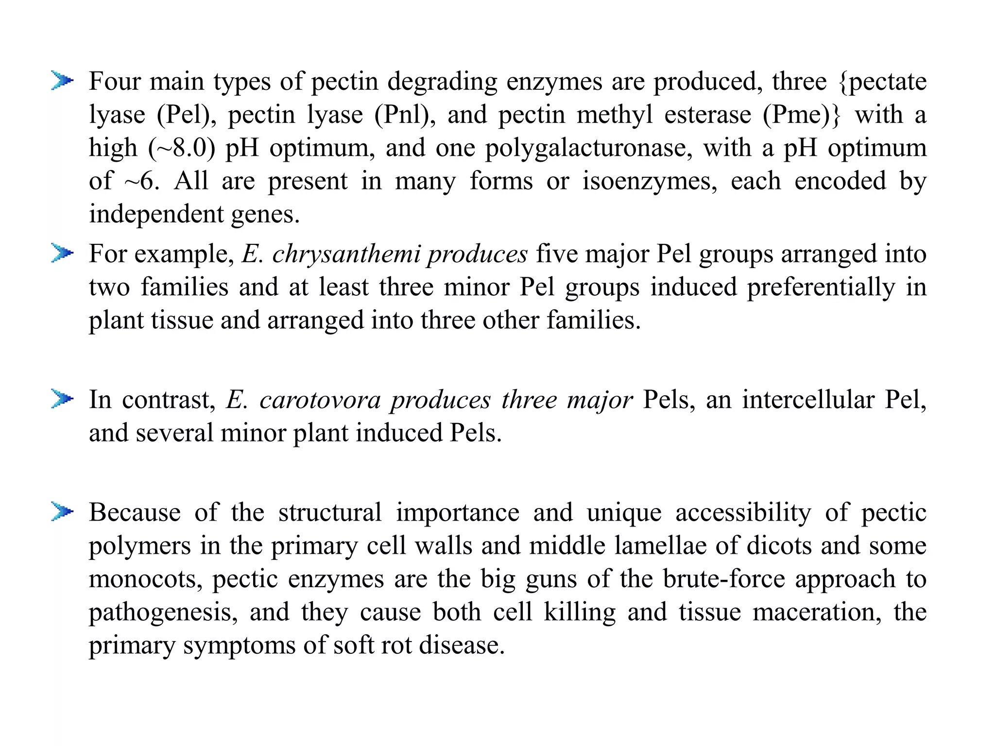 Four main types of pectin degrading enzymes are produced, three {pectate
lyase (Pel), pectin lyase (Pnl), and pectin methyl esterase (Pme)} with a
high (~8.0) pH optimum, and one polygalacturonase, with a pH optimum
of ~6. All are present in many forms or isoenzymes, each encoded by
independent genes.
For example, E. chrysanthemi produces five major Pel groups arranged into
two families and at least three minor Pel groups induced preferentially in
plant tissue and arranged into three other families.
In contrast, E. carotovora produces three major Pels, an intercellular Pel,
and several minor plant induced Pels.
Because of the structural importance and unique accessibility of pectic
polymers in the primary cell walls and middle lamellae of dicots and some
monocots, pectic enzymes are the big guns of the brute-force approach to
pathogenesis, and they cause both cell killing and tissue maceration, the
primary symptoms of soft rot disease.
 