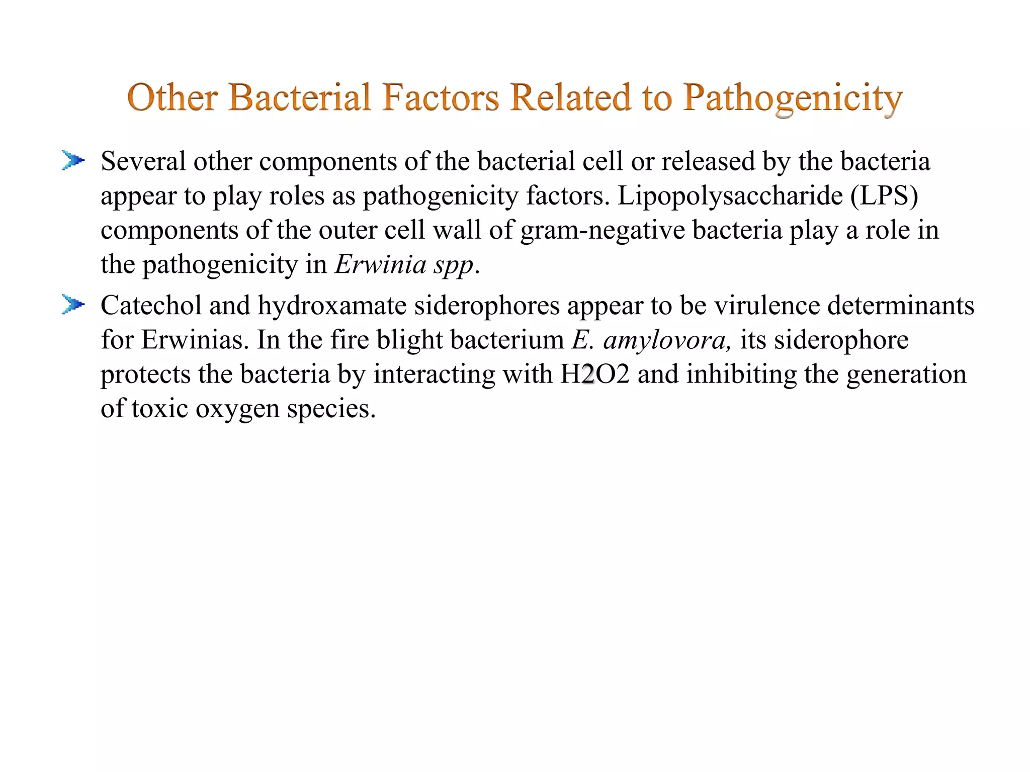 Several other components of the bacterial cell or released by the bacteria
appear to play roles as pathogenicity factors. Lipopolysaccharide (LPS)
components of the outer cell wall of gram-negative bacteria play a role in
the pathogenicity in Erwinia spp.
Catechol and hydroxamate siderophores appear to be virulence determinants
for Erwinias. In the fire blight bacterium E. amylovora, its siderophore
protects the bacteria by interacting with H2O2 and inhibiting the generation
of toxic oxygen species.
 