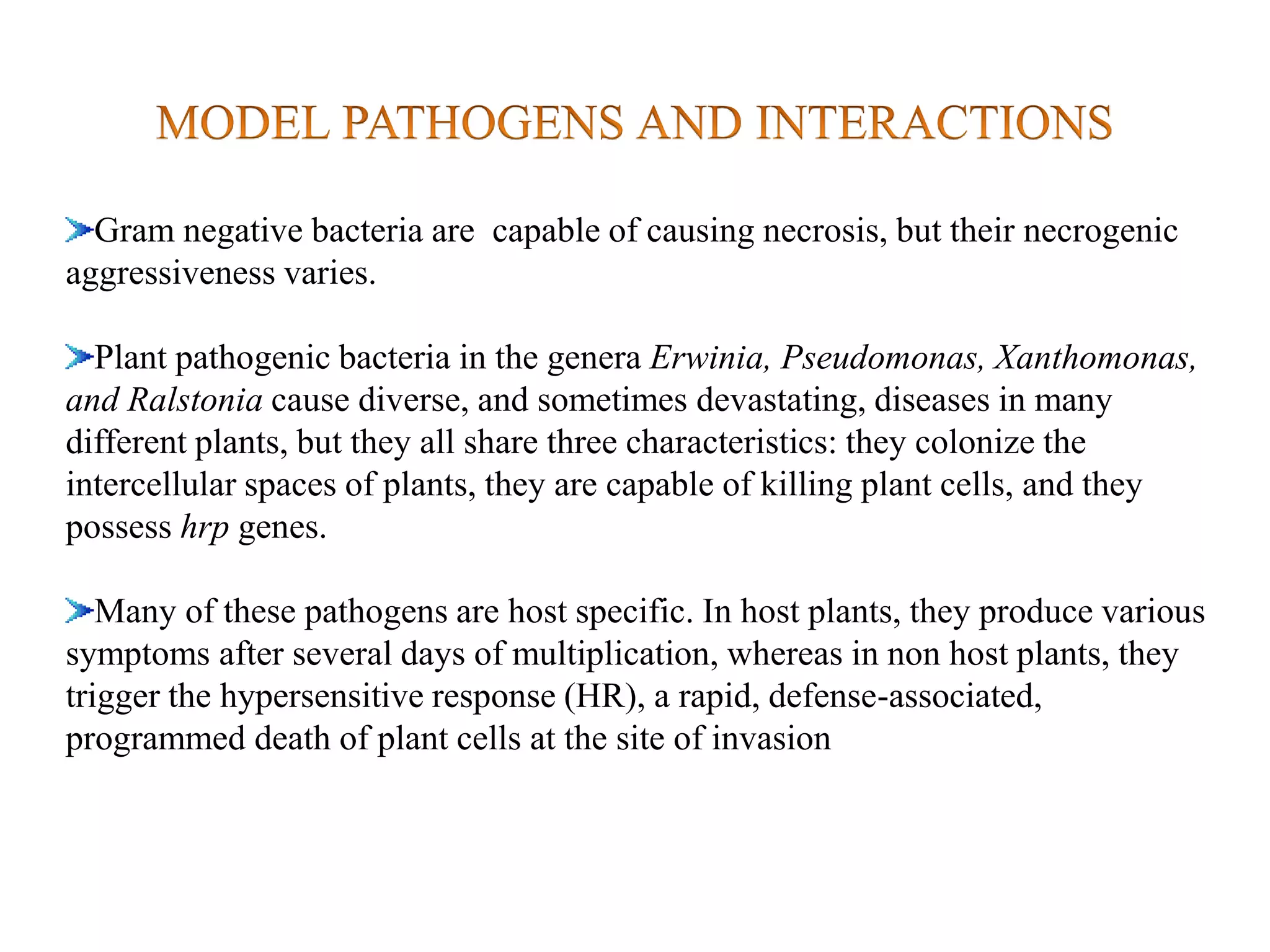 Gram negative bacteria are capable of causing necrosis, but their necrogenic
aggressiveness varies.
Plant pathogenic bacteria in the genera Erwinia, Pseudomonas, Xanthomonas,
and Ralstonia cause diverse, and sometimes devastating, diseases in many
different plants, but they all share three characteristics: they colonize the
intercellular spaces of plants, they are capable of killing plant cells, and they
possess hrp genes.
Many of these pathogens are host specific. In host plants, they produce various
symptoms after several days of multiplication, whereas in non host plants, they
trigger the hypersensitive response (HR), a rapid, defense-associated,
programmed death of plant cells at the site of invasion
 