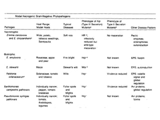 Pathogen Relatedness Host bacterial pathogen interaction | PPTX