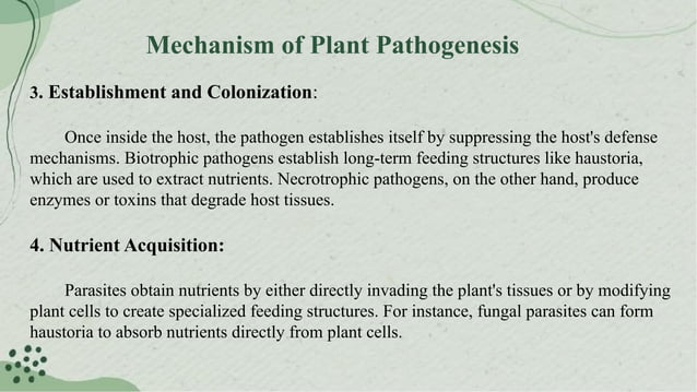 Host - Parasite Relationships in plants | PPTX