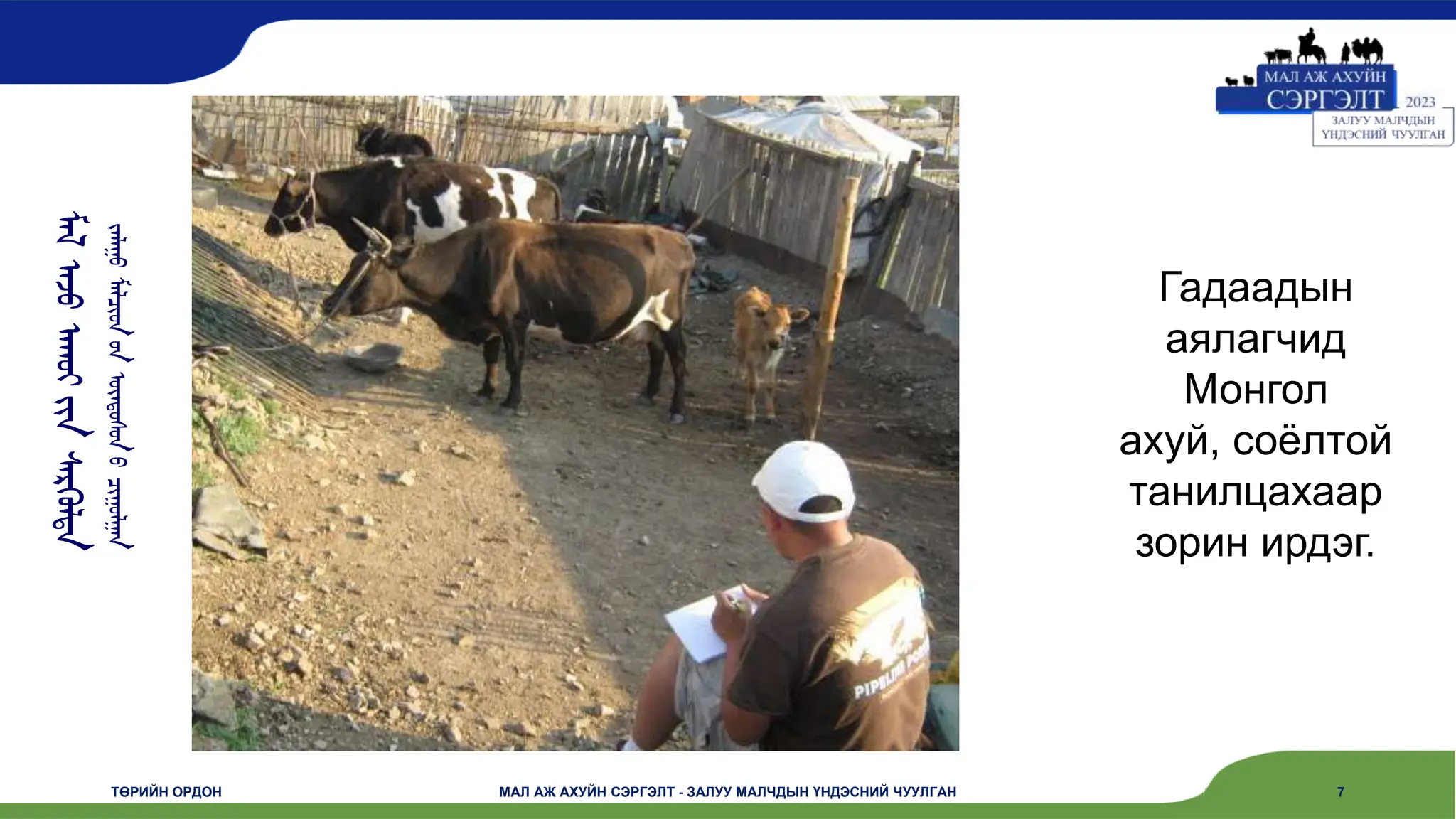 ᠮᠠᠯ
ᠠᠵᠤ
ᠠᠬᠤᠢ
ᠶᠢᠨ
ᠰᠡᠷᠭᠦᠯᠲᠡ
ᠵᠠᠯᠠᠭᠤ
ᠮᠠᠯᠴᠢᠳ
ᠤᠨ
ᠦᠨᠳᠦᠰᠦᠨ
ᠦ
ᠴᠢᠭᠤᠯᠭᠠᠨ
ТӨРИЙН ОРДОН МАЛ АЖ АХУЙН СЭРГЭЛТ - ЗАЛУУ МАЛЧДЫН ҮНДЭСНИЙ ЧУУЛГАН 7
Гадаадын
аялагчид
Монгол
ахуй, соёлтой
танилцахаар
зорин ирдэг.
 