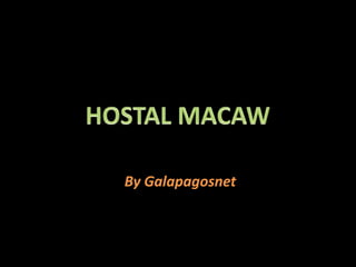 HOSTAL MACAW By Galapagosnet 