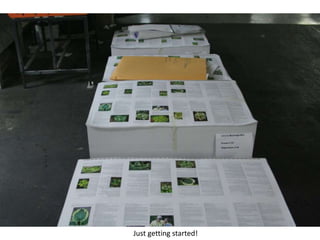 Hostapedia-The slide show.