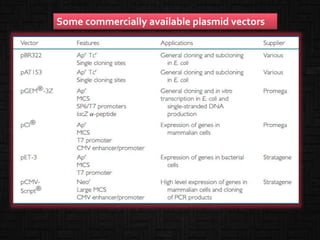Some commercially available plasmid vectors
 