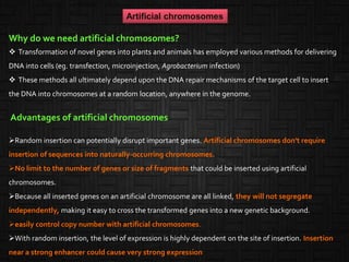 Why do we need artificial chromosomes?
 Transformation of novel genes into plants and animals has employed various methods for delivering
DNA into cells (eg. transfection, microinjection, Agrobacterium infection)
 These methods all ultimately depend upon the DNA repair mechanisms of the target cell to insert
the DNA into chromosomes at a random location, anywhere in the genome.
Advantages of artificial chromosomes
Random insertion can potentially disrupt important genes. Artificial chromosomes don't require
insertion of sequences into naturally-occurring chromosomes.
No limit to the number of genes or size of fragments that could be inserted using artificial
chromosomes.
Because all inserted genes on an artificial chromosome are all linked, they will not segregate
independently, making it easy to cross the transformed genes into a new genetic background.
easily control copy number with artificial chromosomes.
With random insertion, the level of expression is highly dependent on the site of insertion. Insertion
near a strong enhancer could cause very strong expression
Artificial chromosomes
 