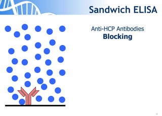 10
Sandwich ELISA
Anti-HCP Antibodies
Blocking
 