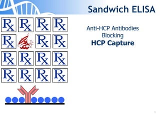 11
Sandwich ELISA
Anti-HCP Antibodies
Blocking
HCP Capture
 