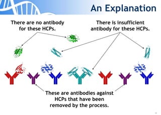 19
An Explanation
There are no antibody
for these HCPs.
These are antibodies against
HCPs that have been
removed by the process.
There is insufficient
antibody for these HCPs.
 