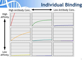 33
Individual Binding
High Antibody Conc.
Low
Affinity
High
Affinity
Low Antibody Conc.
 