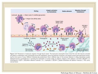 Pathologic Basis of Disease – Robbins & Cotran
 