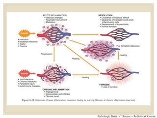 Pathologic Basis of Disease – Robbins & Cotran
 