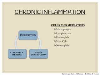 CHRONIC INFLAMMATION
INFILTRATION
TISSUE
DESTRUCTION
ATTEMPTS AT
HEALING
CELLS AND MEDIATORS
➢Macrophages
➢Lymphocytes
➢Eosinophils
➢Mast Cells
➢Neutrophils
Pathologic Basis of Disease – Robbins & Cotran
 