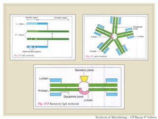 Textbook of Microbiology – CP Baveja 4th Edition
 