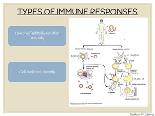TYPES OF IMMUNE RESPONSES
Humoral/Antibody mediated
Immunity
Cell mediated Immunity
Paniker’s 9th Edition
 