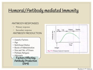 Humoral/Antibody mediated Immunity
ANTIBODY RESPONSES
◦ Primary response
◦ Secondary response
ANTIBODY PRODUCTION
Paniker’s 9th Edition
• Genetic Factors
• Age
• Nutritional Status
• Route of Administration
• Size and No. of Doses
• Multiple Antigens
• Adjuvants
Factors Affecting
Antibody Production
(AMI)
 