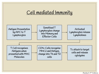 Cell mediated Immunity
Antigen Presentation
by APC to T
Lymphocytes
Sensitised T
Lymphocytes change
into Memory and
Effector Cells
Activated
Lymphocytes release
Lymphokines
T Cell recognises
Antigens when
presented with MHC
Molecules
CD4+ Cells recognise
MHC2 and Antigen,
change into Th and Td
cells
Tc attach to target
cells and release
cytolysins
Paniker’s 9th Edition
 