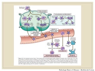 Pathologic Basis of Disease – Robbins & Cotran
 