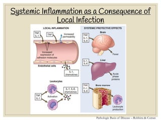 Pathologic Basis of Disease – Robbins & Cotran
Systemic Inflammation as a Consequence of
Local Infection
 