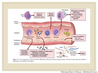 Pathologic Basis of Disease – Robbins & Cotran
 