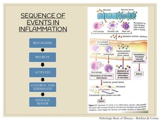 SEQUENCE OF
EVENTS IN
INFLAMMATION
RECOGNISE
RECRUIT
ACTIVATE
CONTROL AND
TERMINATE
DAMAGE
REPAIR
Pathologic Basis of Disease – Robbins & Cotran
 