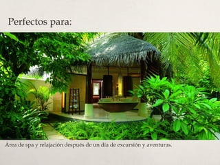 Perfectos para:

Área de spa y relajación después de un día de excursión y aventuras.

 
