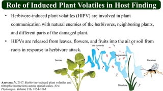 Role of Induced Plant Volatiles in Host Finding
• Herbivore-induced plant volatiles (HIPV) are involved in plant
communication with natural enemies of the herbivores, neighboring plants,
and different parts of the damaged plant.
• HIPVs are released from leaves, flowers, and fruits into the air or soil from
roots in response to herbivore attack.
Aartsma, Y. 2017. Herbivore‐induced plant volatiles and
tritrophic interactions across spatial scales. New
Phytologist. Volume 216, 1054-1063
 