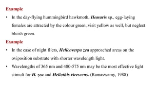 Example
• In the day-flying hummingbird hawkmoth, Hemaris sp., egg-laying
females are attracted by the colour green, visit yellow as well, but neglect
bluish green.
Example
• In the case of night fliers, Helicoverpa zea approached areas on the
oviposition substrate with shorter wavelength light.
• Wavelengths of 365 nm and 480-575 nm may be the most effective light
stimuli for H. zea and Heliothis virescens. (Ramaswamy, 1988)
 