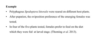 Example
• Polyphagous Spodoptera littoralis were reared on different host plants.
• After pupation, the oviposition preference of the emerging females was
tested.
• In four of the five plants tested, females prefer to feed on the diet
which they were fed at larval stage. (Thoming et al. 2013).
 