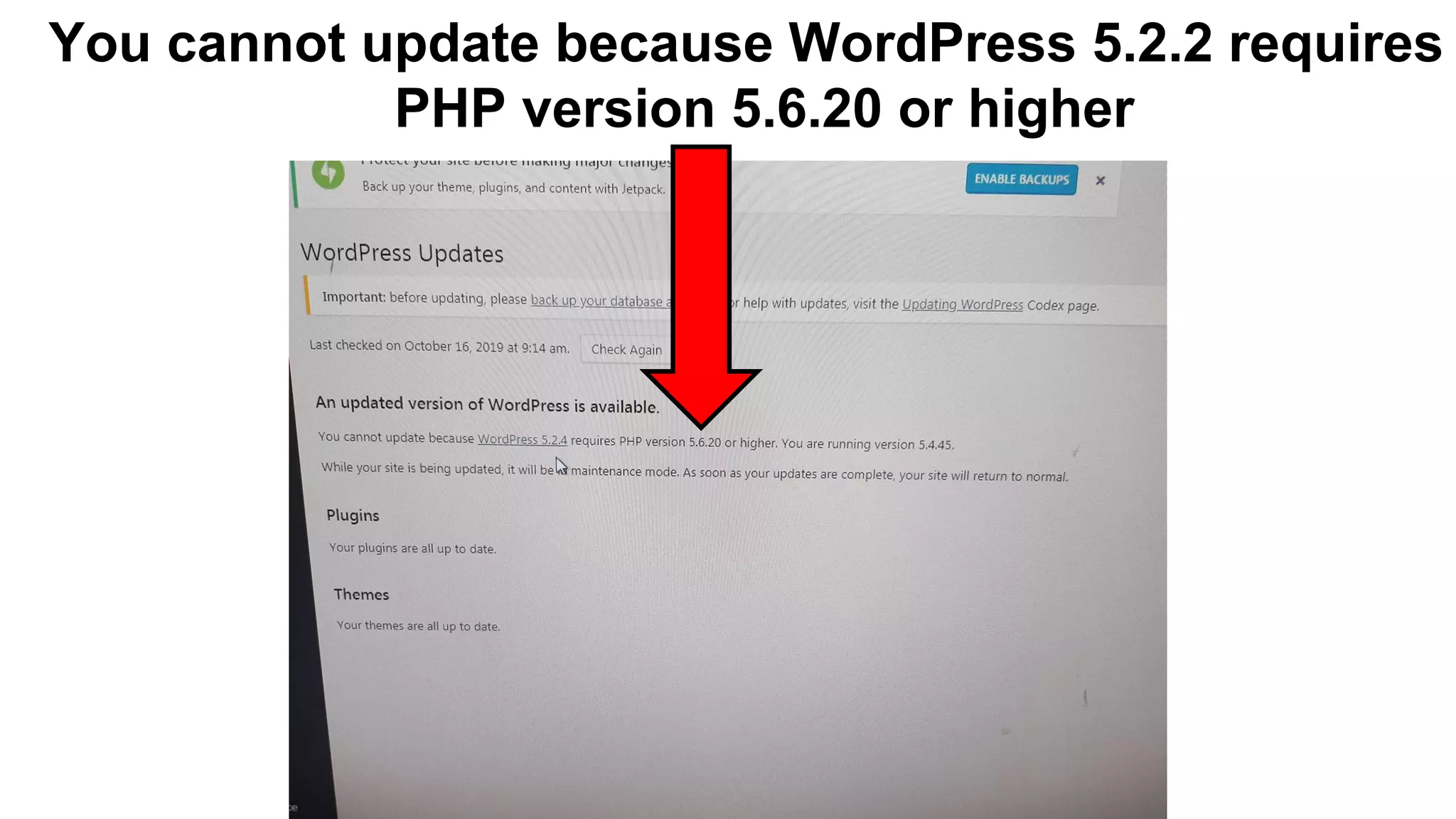 You cannot update because WordPress 5.2.2 requires
PHP version 5.6.20 or higher
 
