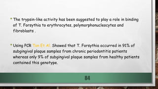 •The trypsin-like activity has been suggested to play a role in binding
of T. Forsythia to erythrocytes, polymorphonucleocytes and
fibroblasts .
•Using PCR Tan Et Al. Showed that T. Forsythia occurred in 91% of
subgingival plaque samples from chronic periodontitis patients
whereas only 9% of subgingival plaque samples from healthy patients
contained this genotype.
84
 
