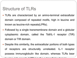 Host microbial interactions in periodontal diseases | PPTX