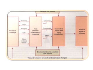 Host Modulation Host Modulation.pptx