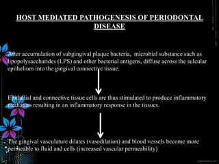 HOST MEDIATED PATHOGENESIS OF PERIODONTAL
DISEASE
After accumulation of subgingival plaque bacteria, microbial substance such as
lipopolysaccharides (LPS) and other bacterial antigens, diffuse across the sulcular
epithelium into the gingival connective tissue.
Epithelial and connective tissue cells are thus stimulated to produce inflammatory
mediators resulting in an inflammatory response in the tissues.
The gingival vasculature dilates (vasodilation) and blood vessels become more
permeable to fluid and cells (increased vascular permeability)
 