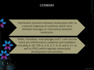 Interleukins (proteins between leukocytes) refer to
a special subgroup of cytokines which carry
detailed messages or instructions between
leukocytes.
PMNs, Fibroblast, macrophages and T- cells secrete
active pro-inflammatory cytokines and mediators
including IL-1β, TNF-α, IL-6, IL-7, IL-11 and IL-17, as
well as PGE2 which regulate osteoclastic
development and activities.
CYTOKINES
 