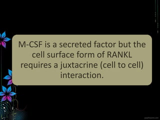 M-CSF is a secreted factor but the
cell surface form of RANKL
requires a juxtacrine (cell to cell)
interaction.
 