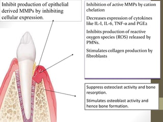 Inhibit production of epithelial
derived MMPs by inhibiting
cellular expression.
Inhibition of active MMPs by cation
chelation
Decreases expression of cytokines
like IL-I, IL-6, TNF-α and PGE2
Inhibits production of reactive
oxygen species (ROS) released by
PMNs.
Stimulates collagen production by
fibroblasts
Suppress osteoclast activity and bone
resorption.
Stimulates osteoblast activity and
hence bone formation.
 