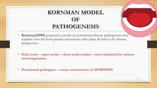 • Kornman(1999) proposed a model of periodontal disease pathogenesis that
explains how the host-parasite interactions takes place & lead to the disease
progression
• Oral cavity – open cavity – clean tooth surface – soon inhabited by various
microorganisms
• Periodontal pathogens – create environment of DYSBIOSIS
13
 