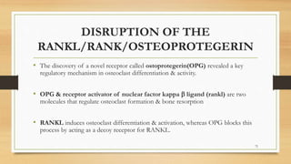 DISRUPTION OF THE
RANKL/RANK/OSTEOPROTEGERIN
• The discovery of a novel receptor called ostoprotegerin(OPG) revealed a key
regulatory mechanism in osteoclast differentiation & activity.
• OPG & receptor activator of nuclear factor kappa  ligand (rankl) are two
molecules that regulate osteoclast formation & bone resorption
• RANKL induces osteoclast differentiation & activation, whereas OPG blocks this
process by acting as a decoy receptor for RANKL.
72
 