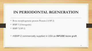 IN PERIODONTAL RGENERATION
• Bone morphogenetic protein Protein-2 (OP-2)
• BMP-3 (Osteogenin)
• BMP-7(OP-1)
• rhBMP-2 commercially supplied in USA as INFUSE bone graft
80
 