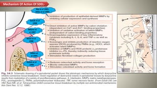 Host Modulation Host Modulation..pptx