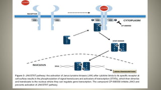 Host Modulation Host Modulation..pptx